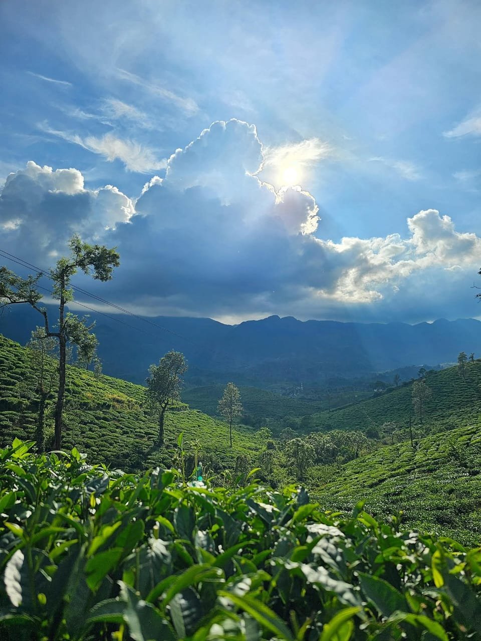 35c7b486-c5d8-4de4-bd5a-80273b49bbaa