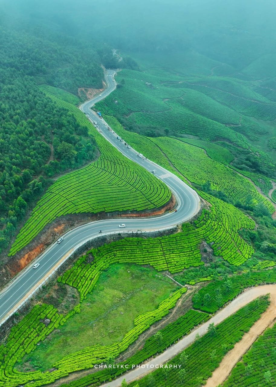 39ff3c2a-f513-42dc-9982-1b3d29413a0b