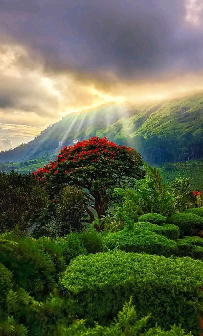 3a8a62c2-15fd-4aee-84dc-ed823f3f606b