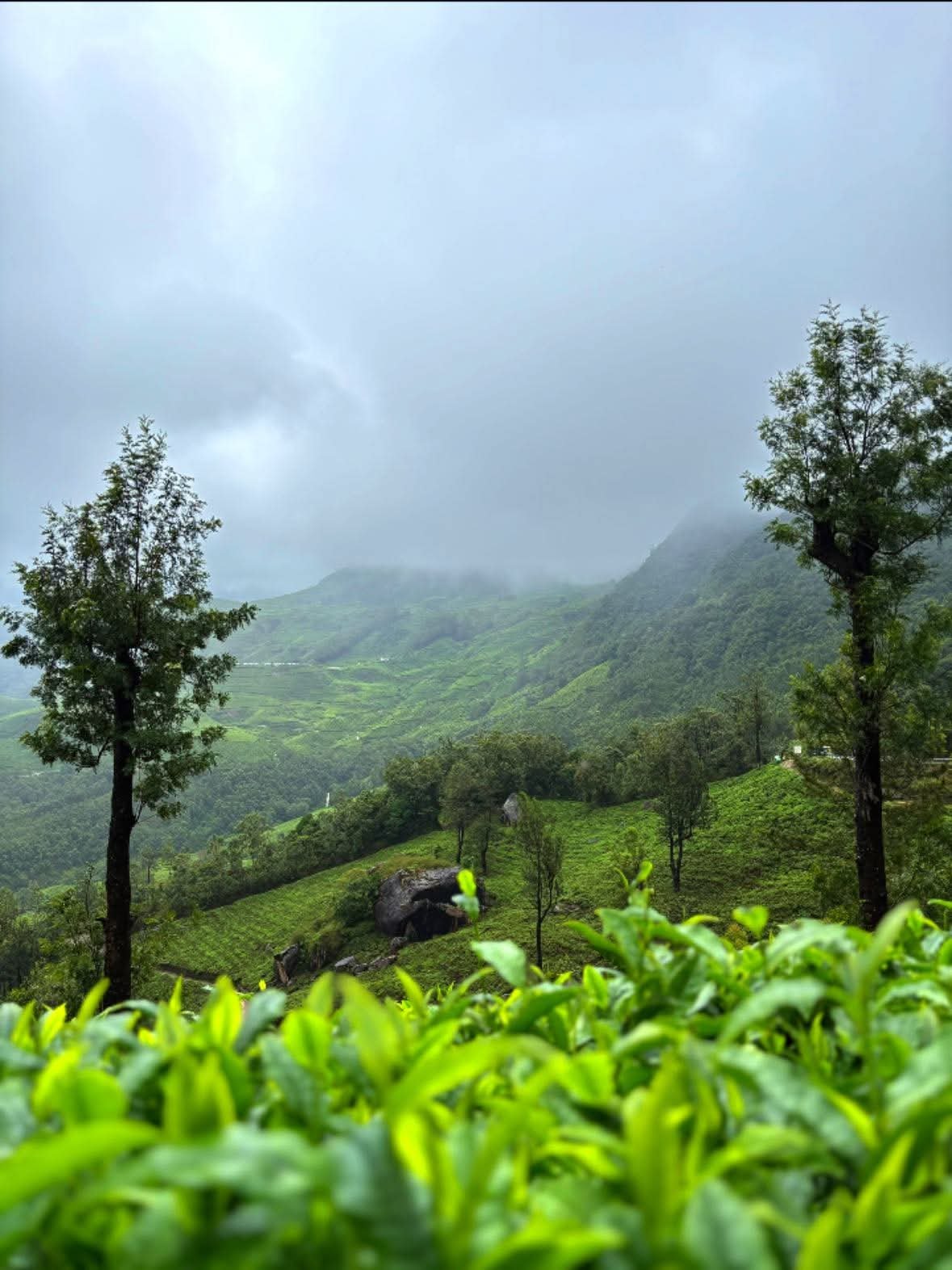 4569a055-cd94-45f3-af54-02c6a14024bb