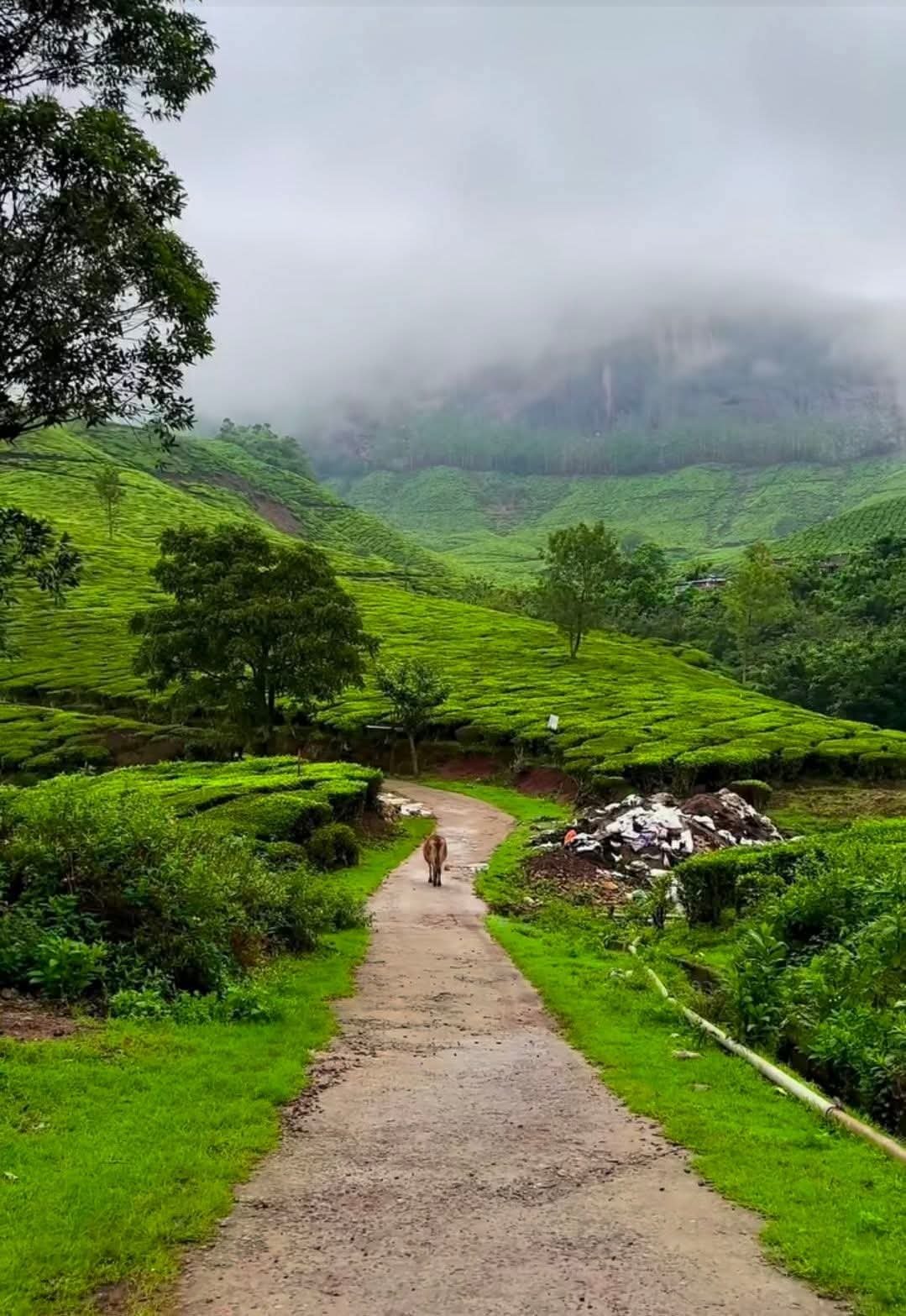 4addbb46-ffe4-4407-b9ba-4d4fb36138b2