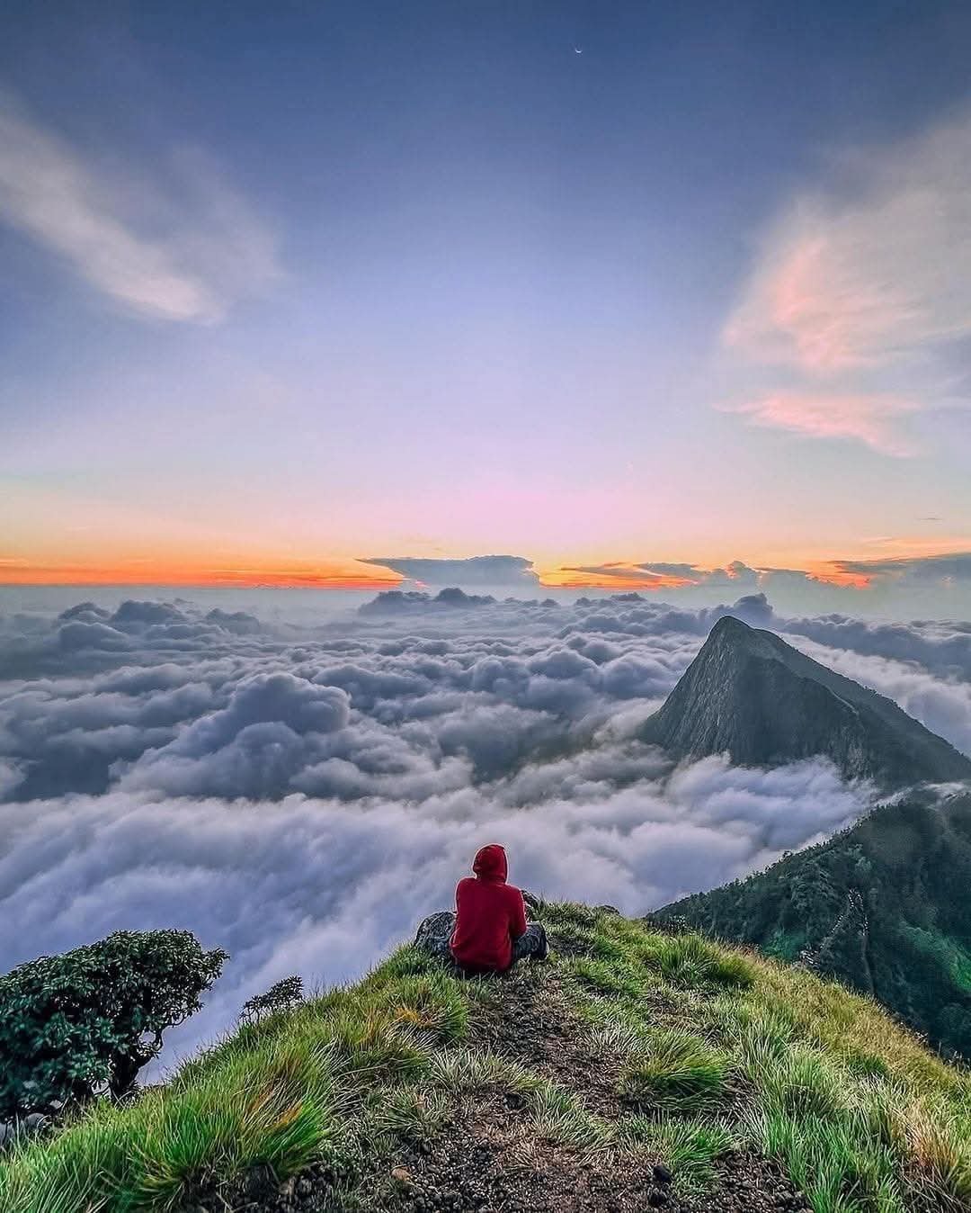 8e7081e5-521f-4e30-833f-9a38c7071dfc