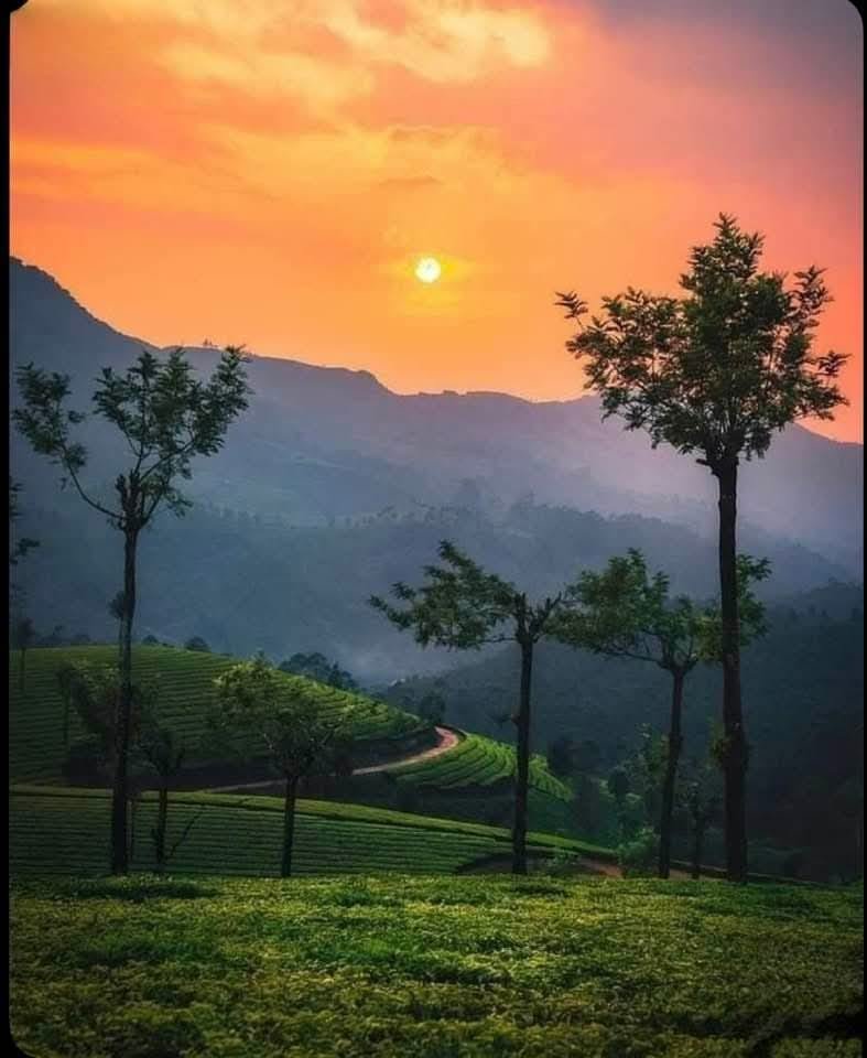 91ba2219-7ea5-42f9-9add-3c29869b05e3