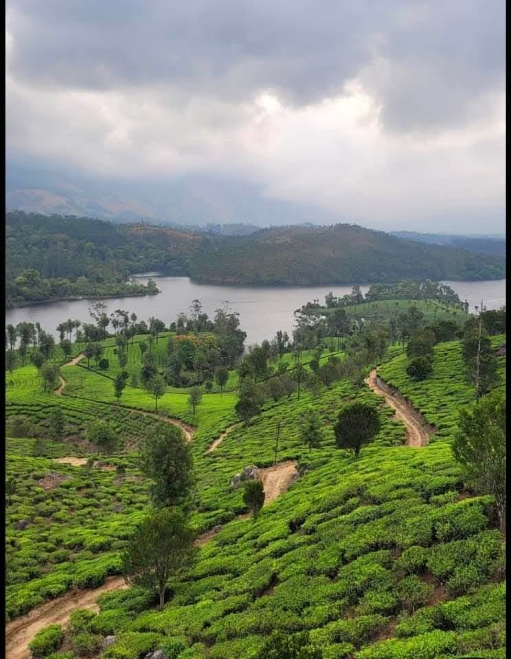 a5039223-03c4-4909-9125-47e0f2e68445