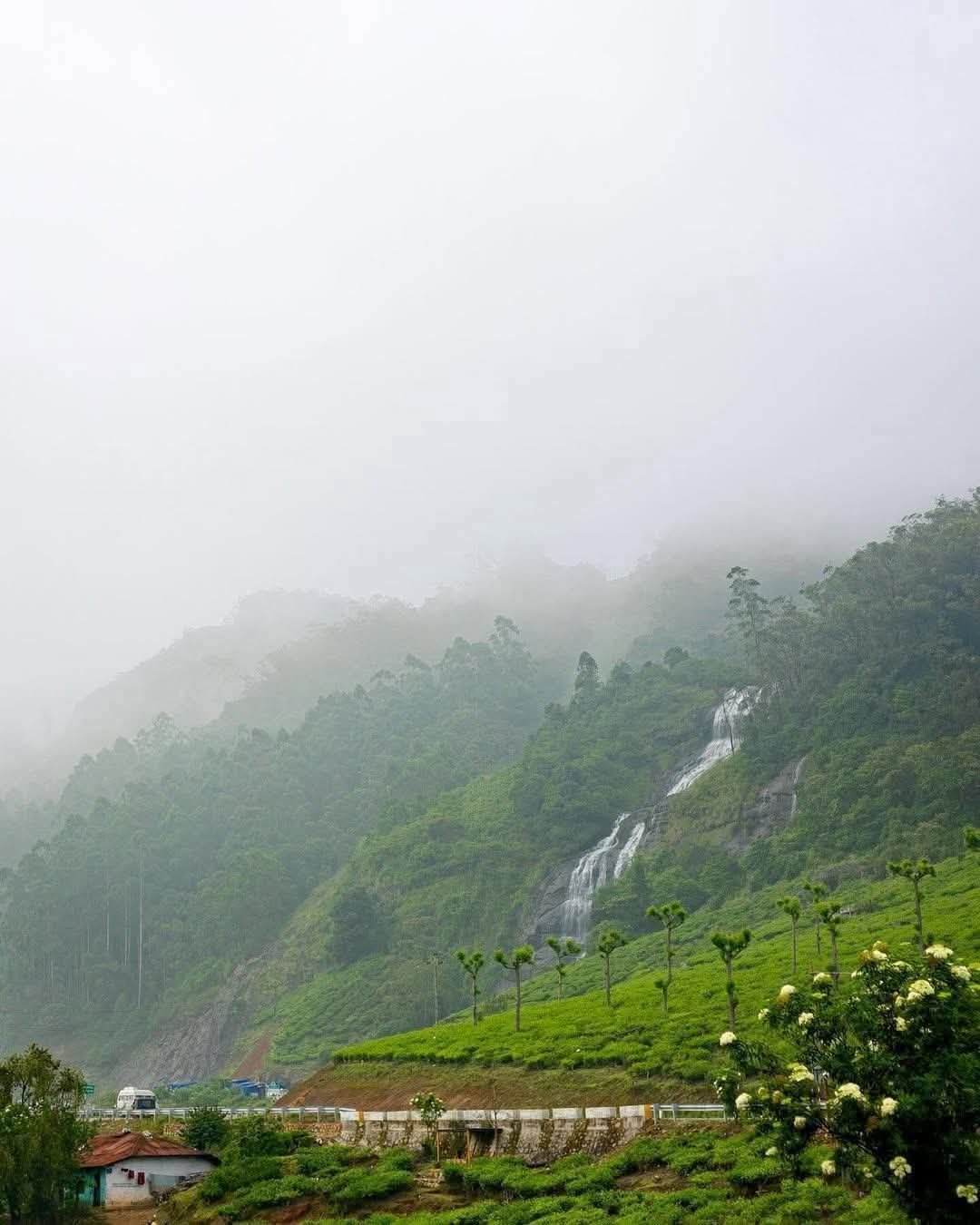 d5f03a28-e786-4375-abfc-d87316684a5a