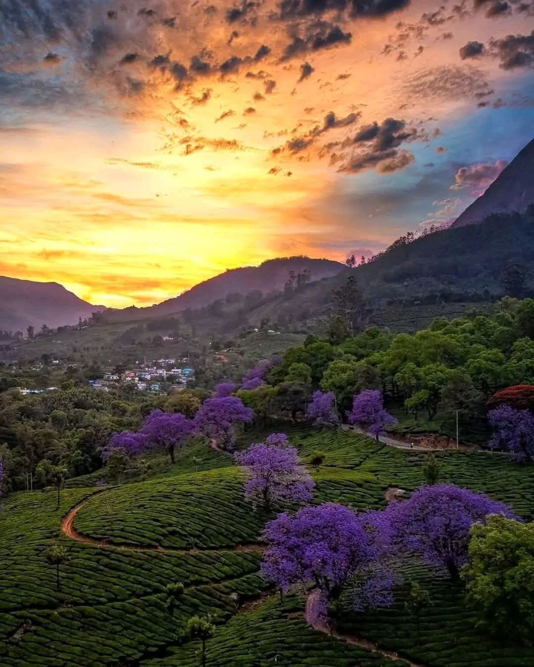 e213026b-4d84-4b40-8243-2d12b16bf60d